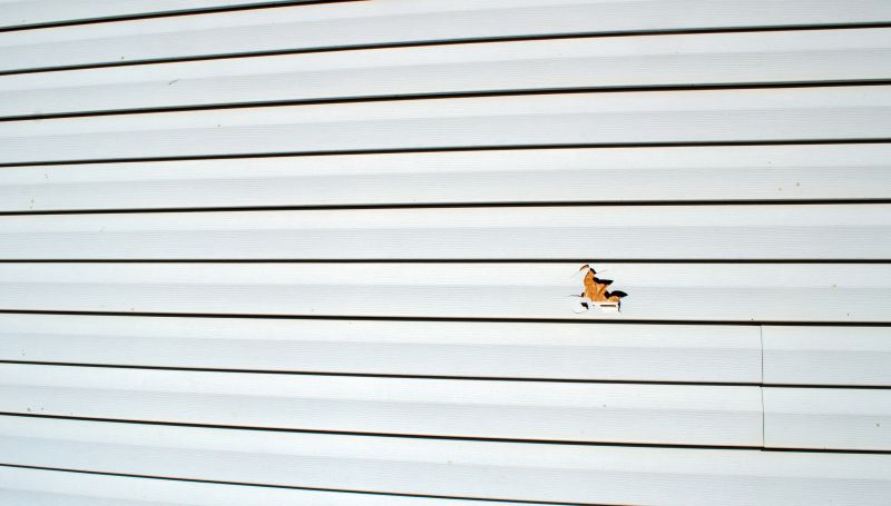 Insurance Claim Contractors