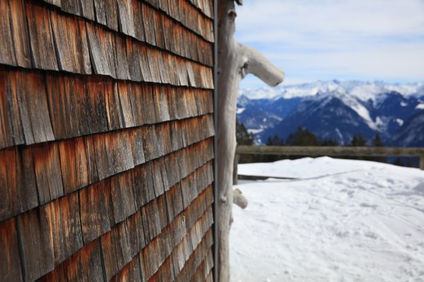 Cedar Siding Repair in Cypress