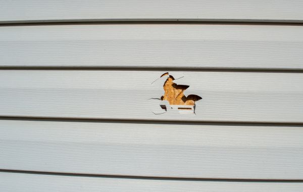 Siding Hole Patching in Cypress